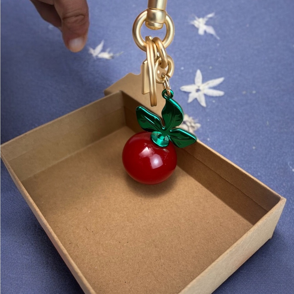 🧀Coach Red and Green Keychain - Picture 6 of 9